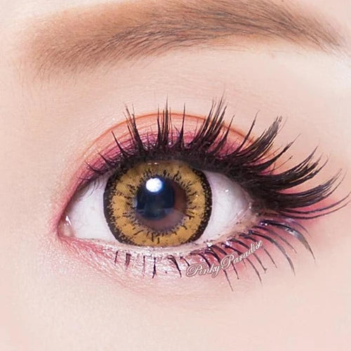Dolly Plus Brown Contact Lenses
